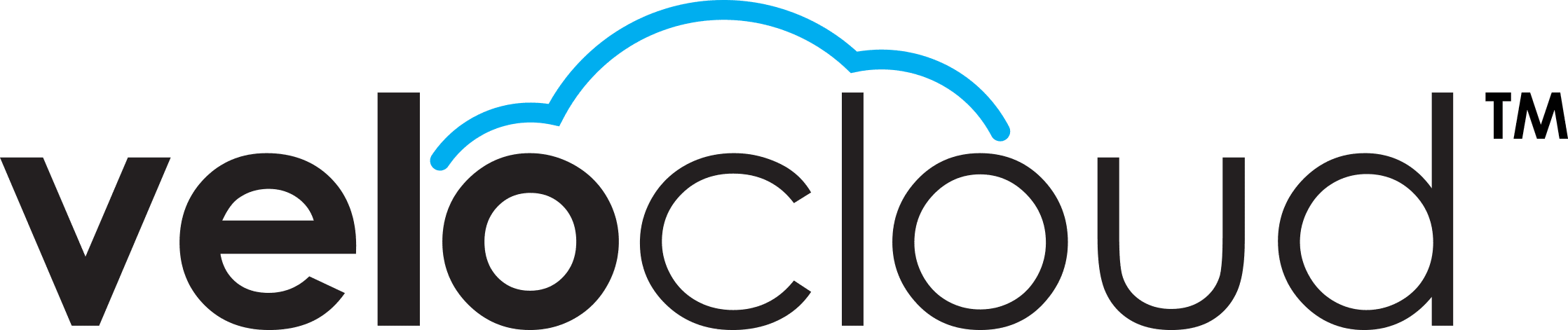 A black and blue logo for cloud computing.